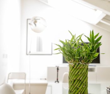 riccardo-pelati-_-Cg7vTw3bs-unsplash